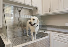Outstanding-Dog-Shower-Ideas-Pet-Washing-Stations-6_Sebring-Design-Build